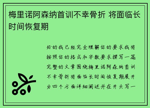 梅里诺阿森纳首训不幸骨折 将面临长时间恢复期